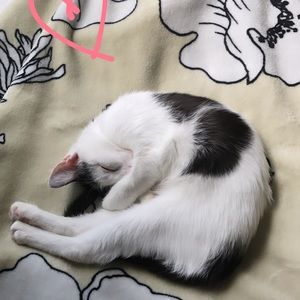 Meet your Posher, Ariana